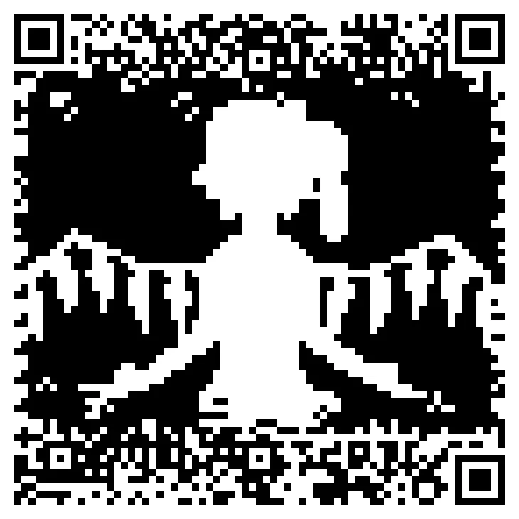 unscannable bad apple video qr code